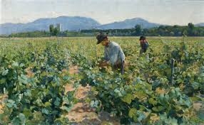 Tổng Quan Về Rượu Vang: Lịch Sử, Phân Loại và Thương Hiệu Nổi Tiếng