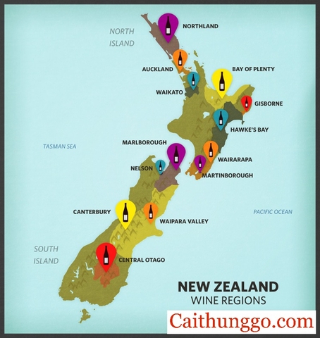 Hướng Dẫn 5 Phút Về Rượu Vang New Zealand