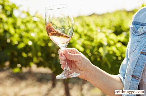 Những Lầm Tưởng Về Rượu Vang Rosé: Hầu Hết Những Gì Bạn Nghĩ Về Vang Hồng Đều Sai
