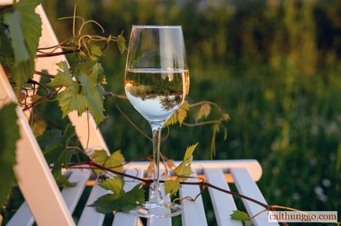 Tiêu Thụ Rượu Vang Toàn Cầu Giảm Xuống Mức Thấp Nhất Trong Sáu Thập Kỷ Do Lạm Phát