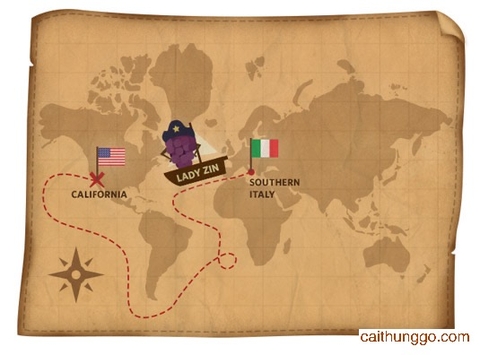 6 Giống Nho Cổ Điển Đang Phát Triển Mạnh Mẽ Ở Tân Thế Giới