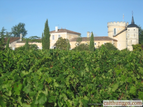 5 Nhà Làm Vang Bordeaux Tuyệt Đẹp Ít Người Biết Đến