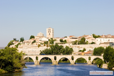 Điều Gì Thôi Thúc Bạn Quyết Định Mua Một Chai Rượu Vang?