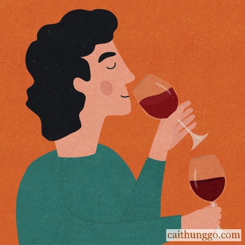 5 Mẹo Cải Thiện Kỹ Năng Nếm Rượu Vang Của Bạn
