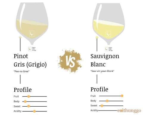 Pinot Grigio và Sauvignon Blanc