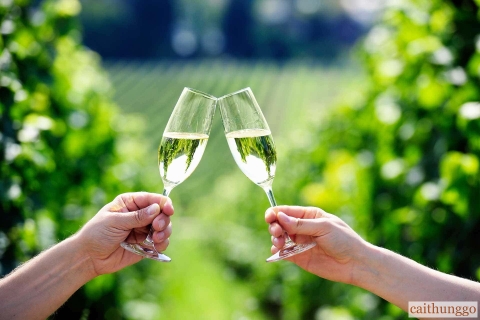 Rượu Prosecco là gì? Vì sao dòng Sparkling Wine này lại nổi tiếng đến vậy?
