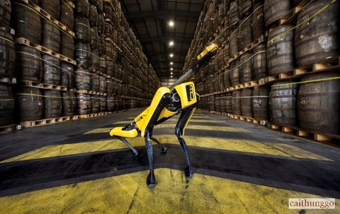 Bước Tiến Công Nghệ: Bacardi Hợp Tác Cùng Chó Robot