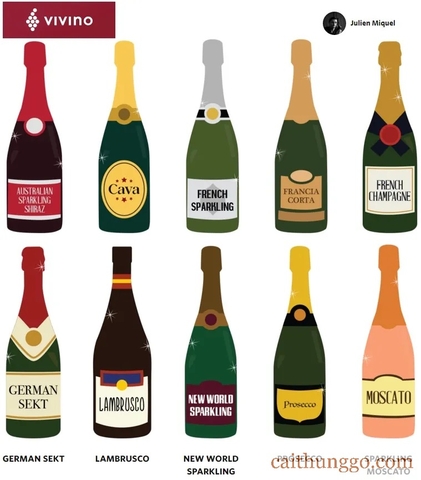 Hướng Dẫn Toàn Diện Về Champagne và Các Loại Vang Sủi