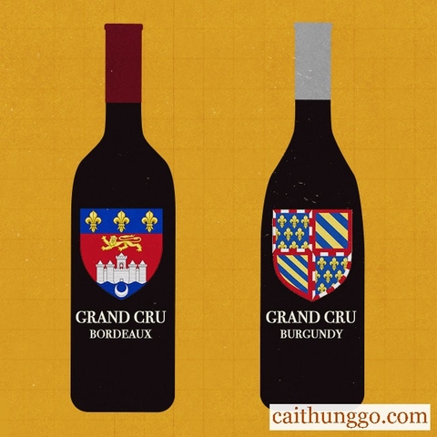 Bordeaux vs. Burgundy: Đâu Mới Là Grand Cru Đích Thực?