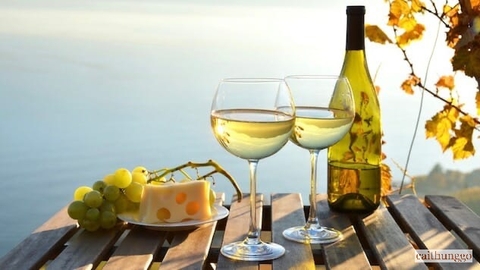 Những dòng rượu vang trắng tuyệt vời của nước Ý: Hơn cả Pinot Grigio