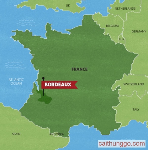Rượu Vang Bordeaux Là Gì?