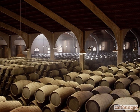 Jack Daniel’s Có Phải Là Bourbon? Giải Đáp Chi Tiết