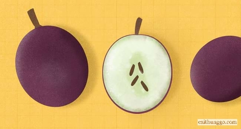 Màu Sắc Của Rượu Vang: Đến Từ Đâu?