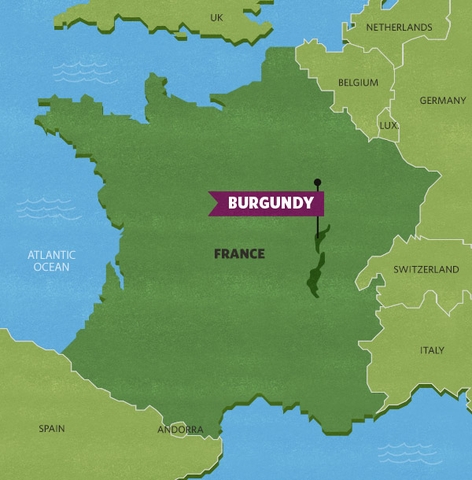 Burgundy: Vùng Rượu Vang Đắt Đỏ Và Đầy Bí Ẩn