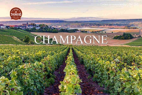 Vùng Champagne pháp 