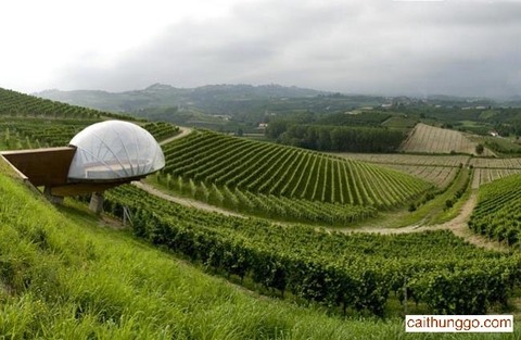 Ceretto Winery Monsordo Bernardina, Alba, Piedmont, Ý
