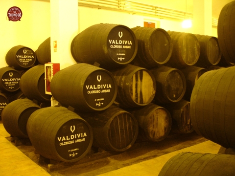 Sherry Oloroso
