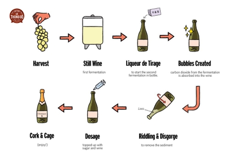 Quy trình sản xuất Champagne theo phương pháp truyền thống
