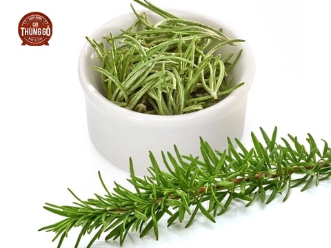 Một số loại thảo dược có mùi hương thơm nhẹ nhàng