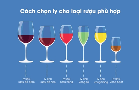 Lựa chọn loại ly phù hợp với rượu