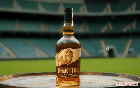  Buffalo Trace – Premiership Rugby