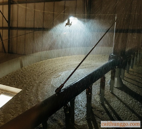 Malting