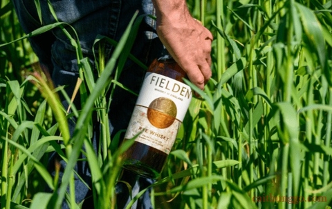 Fielden Whisky of England