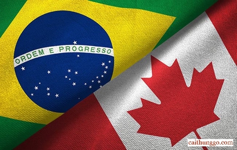 Trump Tăng Thuế Quan Đối Với Canada và Brazil Lên Lần Lượt 35% và 50%