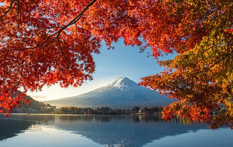 Tiết Lộ: 4 Thương Hiệu Rượu Nhật Bản Có Tổng Trị Giá 8.1 Tỷ USD