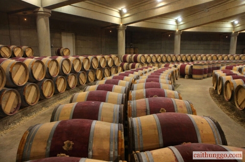 Rượu vang đang được ủ tại Château Lafite Rothschild ở Bordeaux