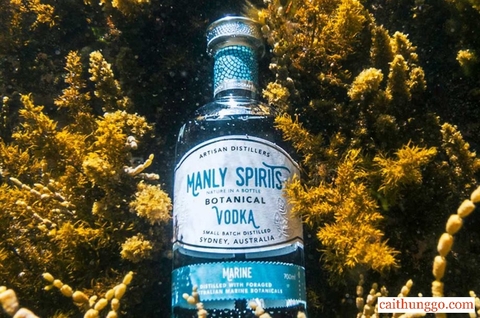 Manly Spirits Marine Botanical Vodka