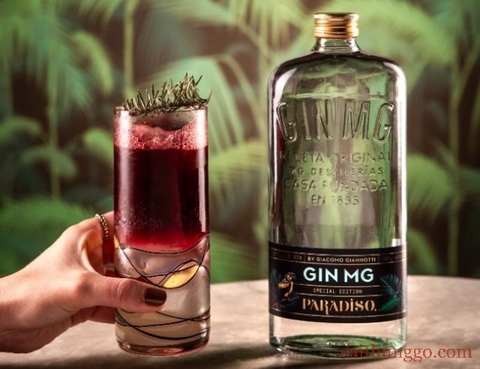 Paradiso MG Gin