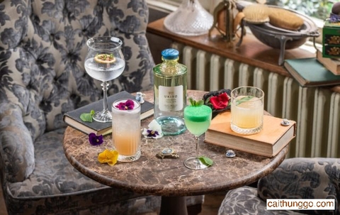Sự Hợp Tác Độc Đáo Giữa Ukiyo Gin và Mr Fogg's