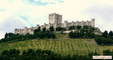 Museo Provincial del Vino, Penafiel, Tây Ban Nha