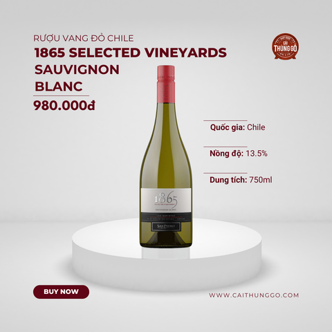 Rượu Vang Trắng Chile 1865 Selected Vineyards Sauvignon Blanc 750ml G
