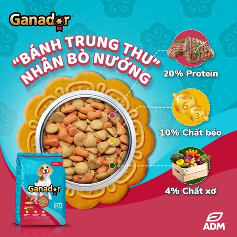 Ganador Adult Roasted Beef Flavor-Bao 10kg-Thức ăn chó