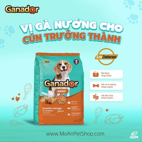 Ganador Adult Roasted Chicken Flavor-Bao 10kg-Thức ăn chó