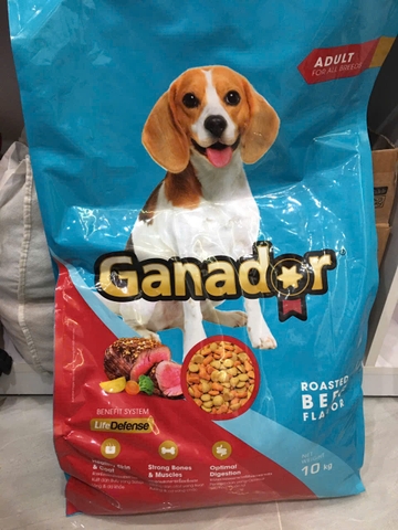 Ganador Adult Roasted Beef Flavor-Bao 10kg-Thức ăn chó