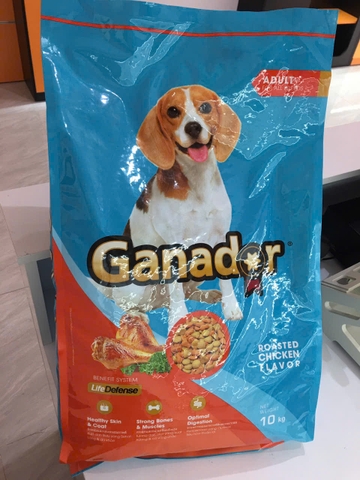 Ganador Adult Roasted Chicken Flavor-Bao 10kg-Thức ăn chó