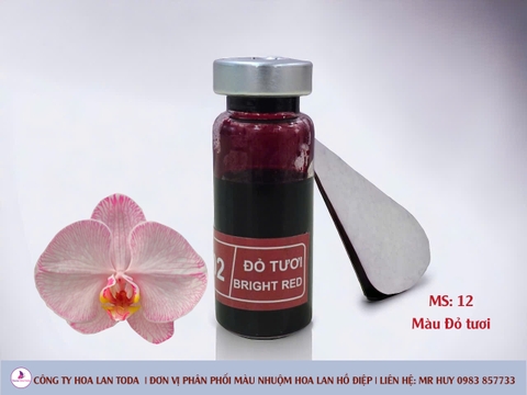 Màu nhuộm hoa lan: đỏ tươi