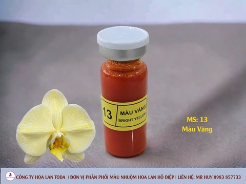 Màu nhuộm hoa lan: Vàng