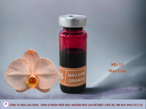 Màu nhuộm hoa lan: Cam