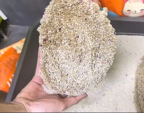 So sánh cát mèo đất sét và cát mèo bentonite: Loại nào phù hợp hơn cho mèo cưng của bạn?