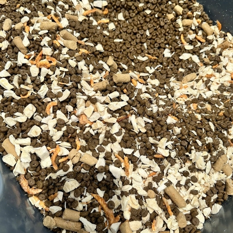 Hạt LANGLIKE Tiger Cho Mèo Topping Thịt Gà, Tép và Tủy Xương - Thức Ăn Cho Mèo