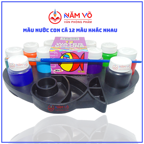 Win Q Màu Nước Con Cá W05 (40 Vĩ/ Thùng)