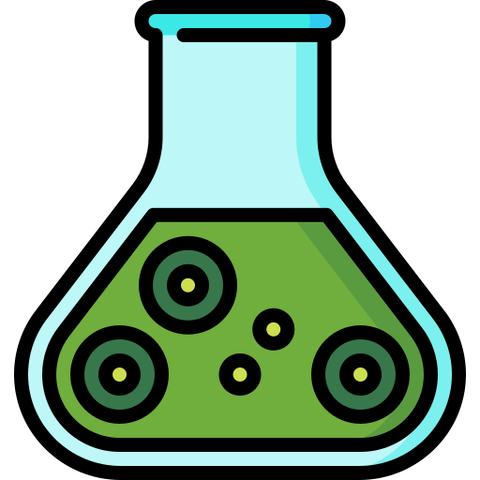 Chất Diệt Rong Rêu