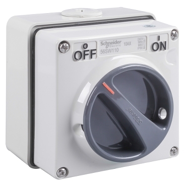 Công Tắc 1P 250V 10A Schneider S56SW110GY