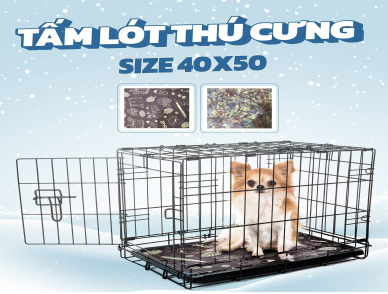 Tấm Lót Vệ Sinh Đa Năng  Cho Thú Cưng KAWAII, 50x40cm, 3 Miếng / Bịch, Nâu