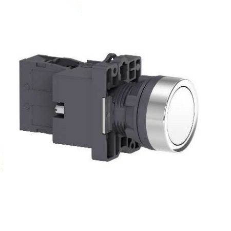 Nút Nhấn Có Đèn Báo 220V AC Schneider XA2EW31M1, 22 mm, Trắng, 10 Cái / Hộp