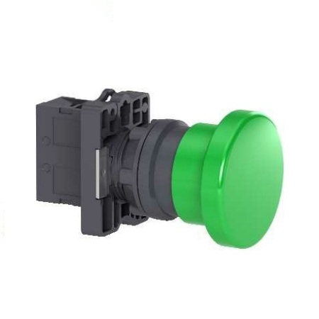 Nút Nhấn Nhả Đầu Nấm Schneider XA2EC31, 22 mm, Xanh Lá, 10 Cái / Hộp
